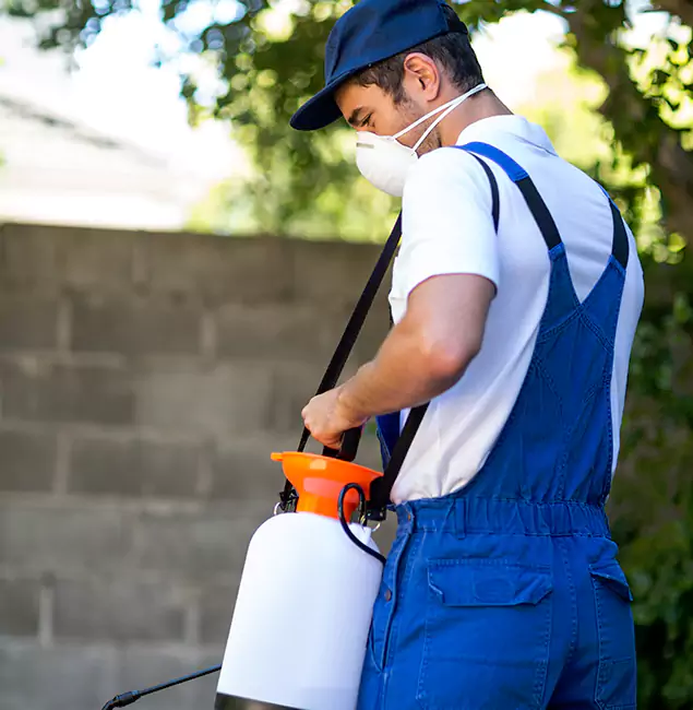 Why Smyrna Pest Control Pro Is the Right Choice for Yellow Jacket Removal in Smyrna, GA?