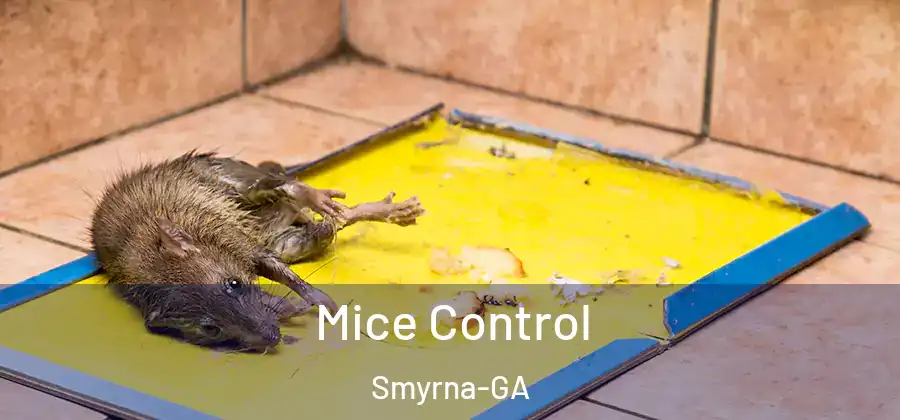 Mice Control Smyrna-GA