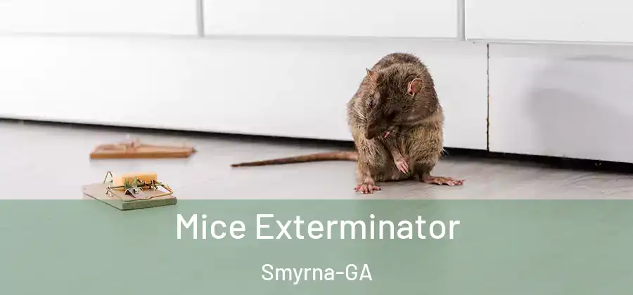 Mice Exterminator Smyrna-GA