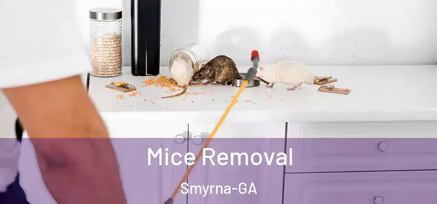 Mice Removal Smyrna-GA