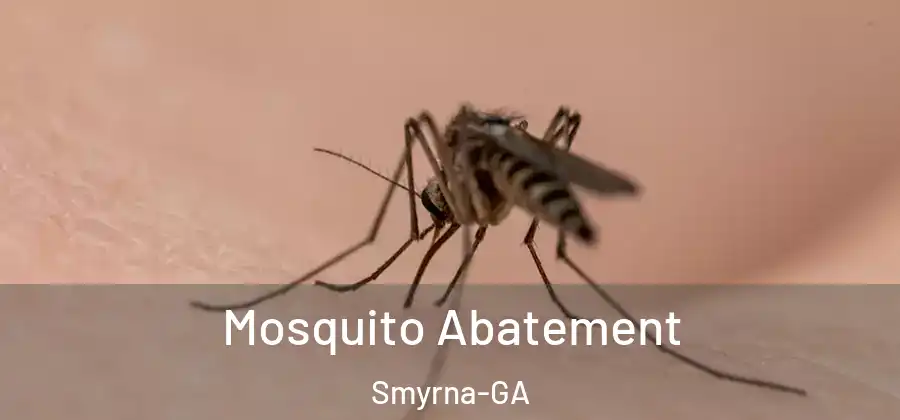 Mosquito Abatement Smyrna-GA