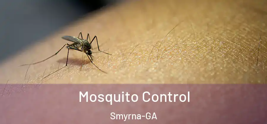  Mosquito Control Smyrna-GA
