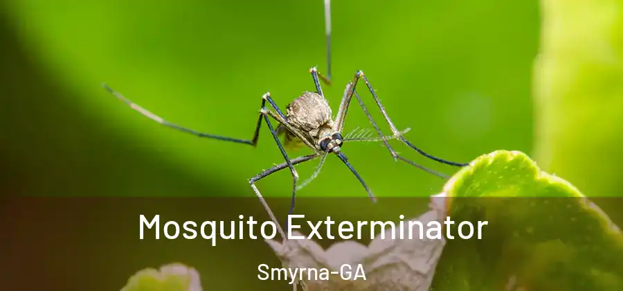 Mosquito Exterminator Smyrna-GA
