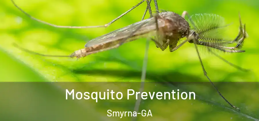 Mosquito Prevention Smyrna-GA