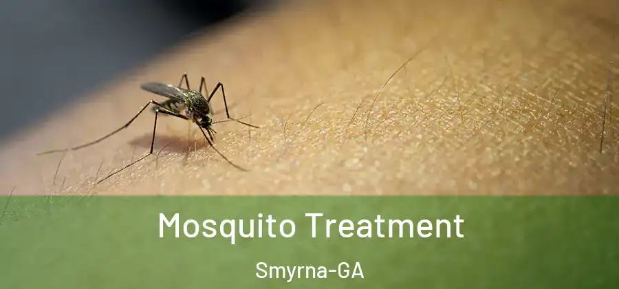Mosquito Treatment Smyrna-GA