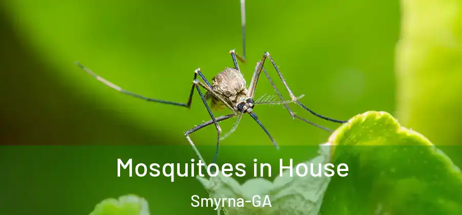 Mosquitoes in House Smyrna-GA