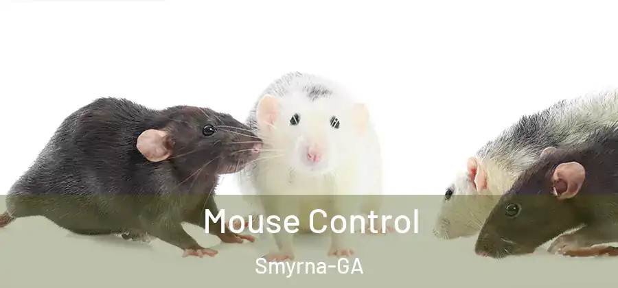 Mouse Control Smyrna-GA