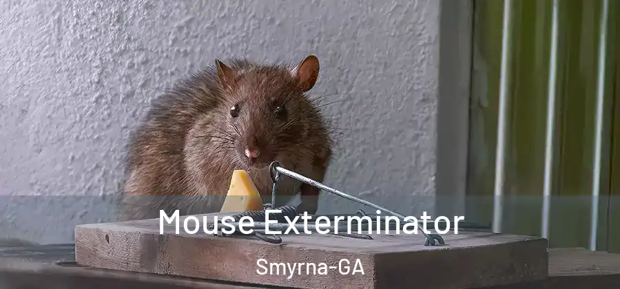Mouse Exterminator Smyrna-GA