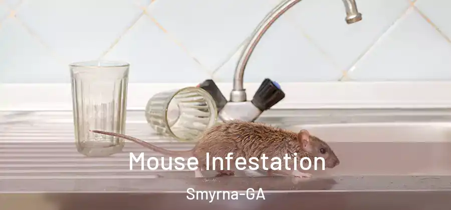 Mouse Infestation Smyrna-GA