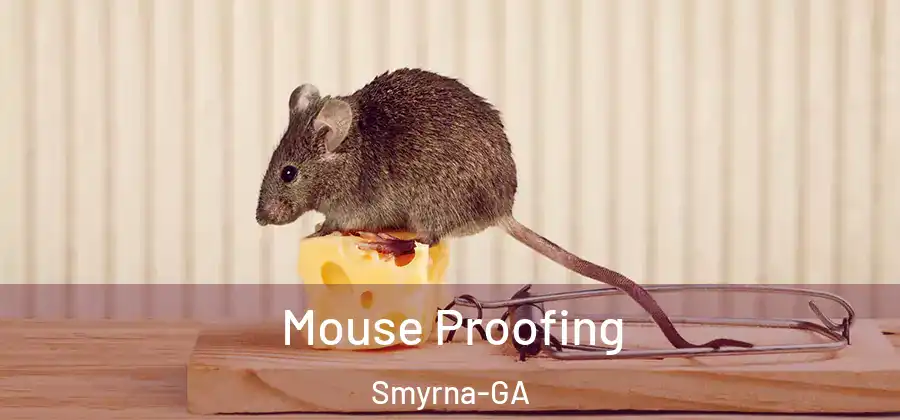 Mouse Proofing Smyrna-GA
