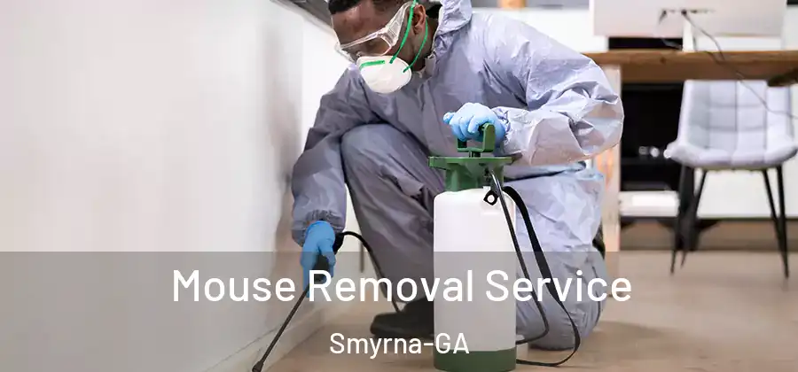 Mouse Removal Service Smyrna-GA