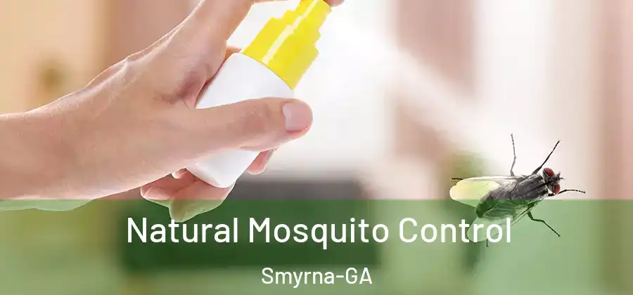 Natural Mosquito Control Smyrna-GA