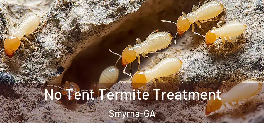 No Tent Termite Treatment Smyrna-GA