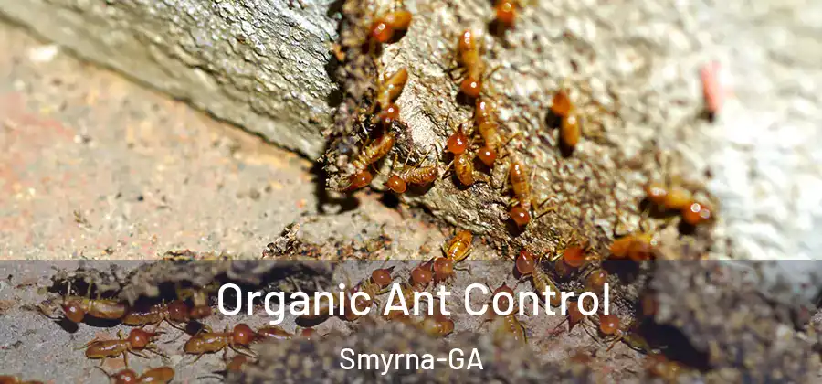 Organic Ant Control Smyrna-GA