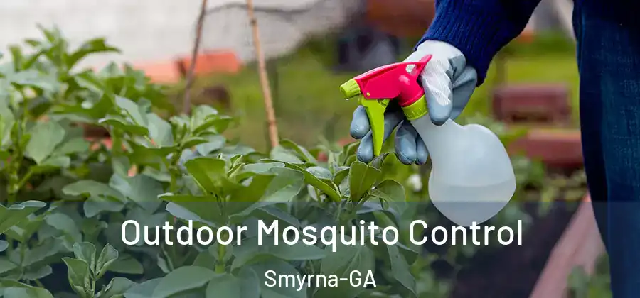 Outdoor Mosquito Control Smyrna-GA