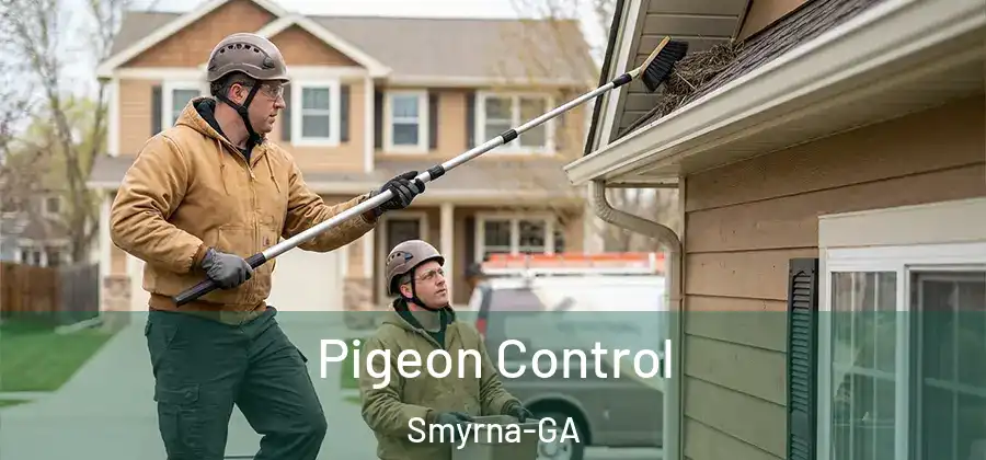 Pigeon Control Smyrna-GA