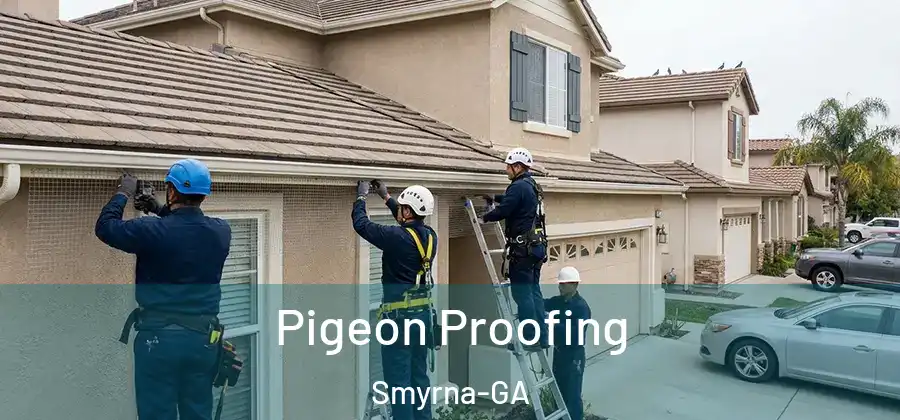 Pigeon Proofing Smyrna-GA