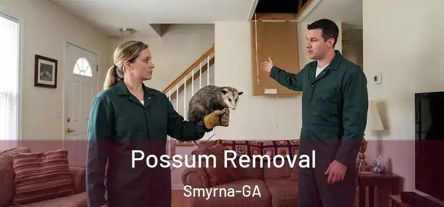 Possum Removal Smyrna-GA