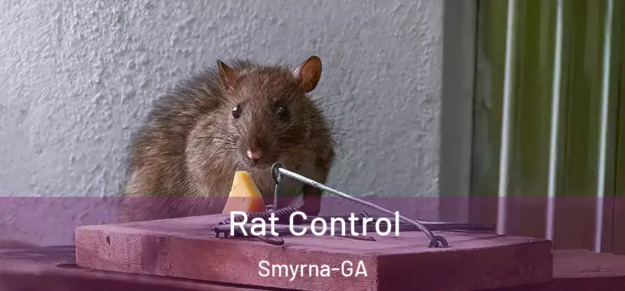 Rat Control Smyrna-GA