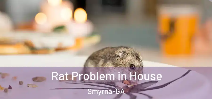 Rat Problem in House Smyrna-GA