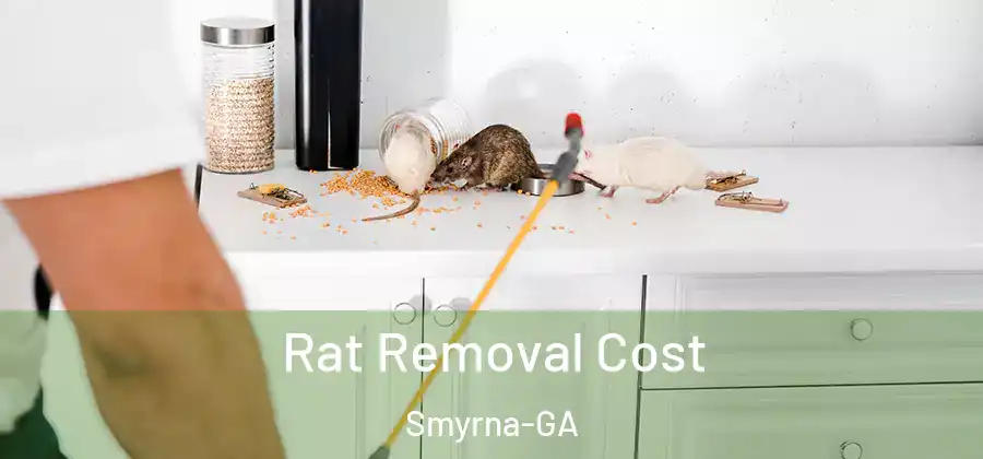 Rat Removal Cost Smyrna-GA