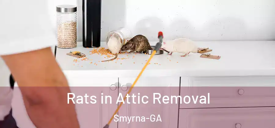Rats in Attic Removal Smyrna-GA