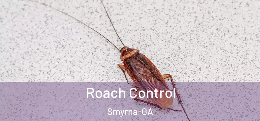 Roach Control Smyrna-GA
