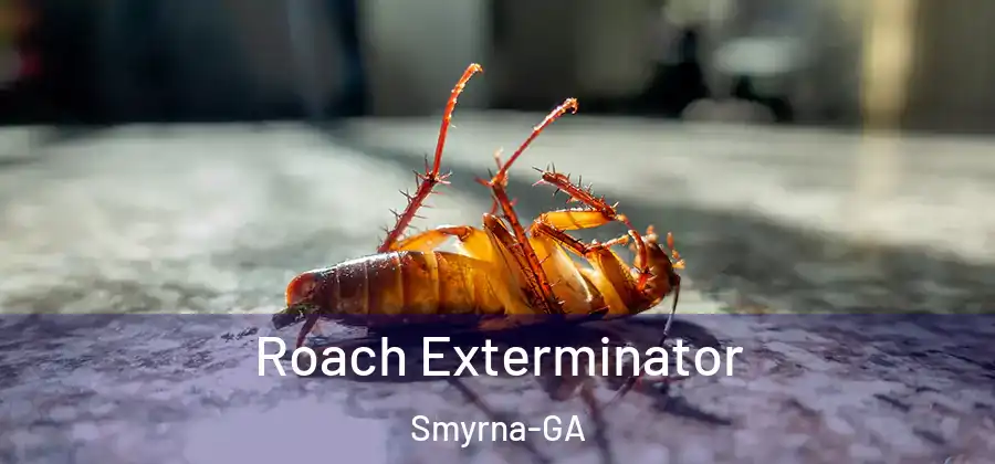 Roach Exterminator Smyrna-GA