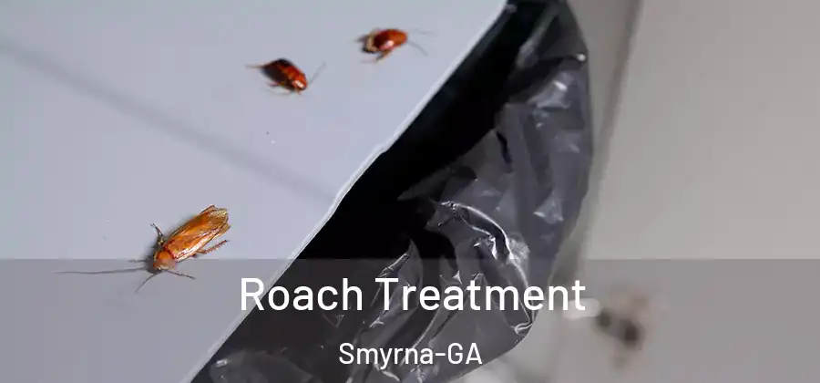 Roach Treatment Smyrna-GA