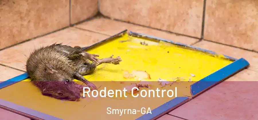 Rodent Control Smyrna-GA