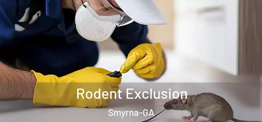 Rodent Exclusion Smyrna-GA