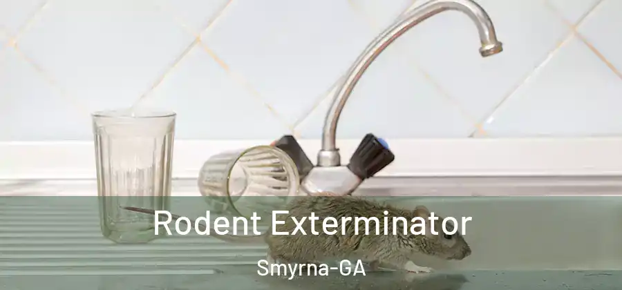 Rodent Exterminator Smyrna-GA