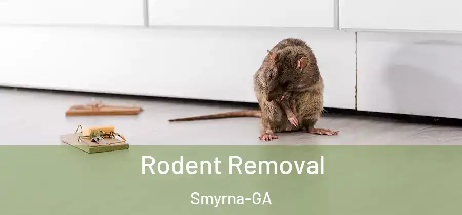 Rodent Removal Smyrna-GA