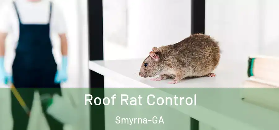 Roof Rat Control Smyrna-GA