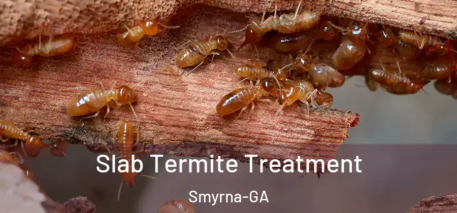 Slab Termite Treatment Smyrna-GA
