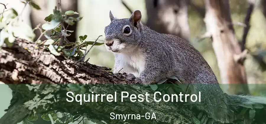 Squirrel Pest Control Smyrna-GA