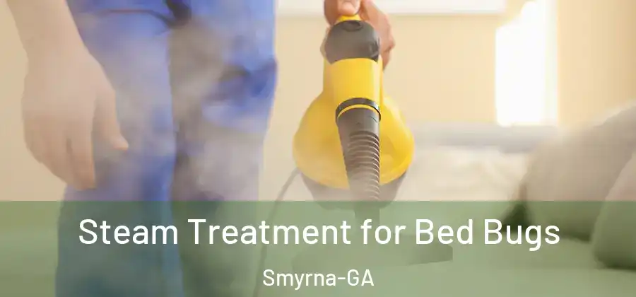 Steam Treatment for Bed Bugs Smyrna-GA