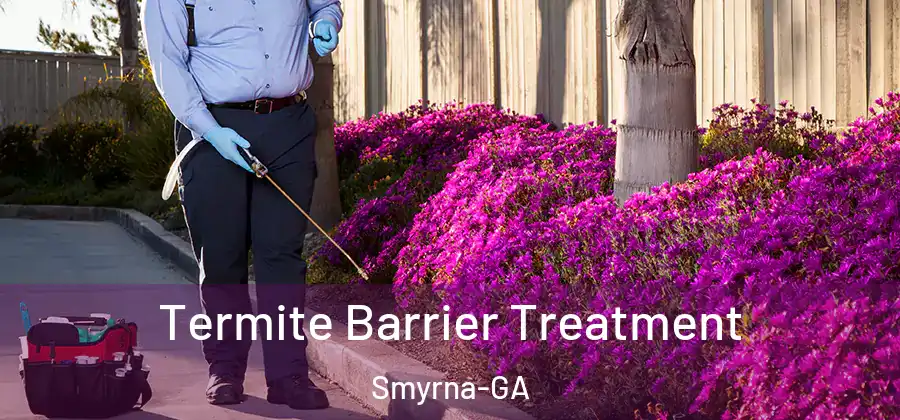 Termite Barrier Treatment Smyrna-GA