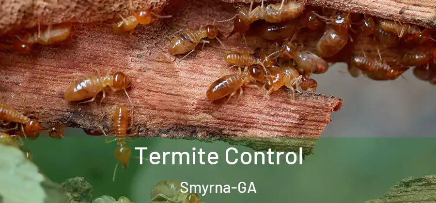 Termite Control Smyrna-GA