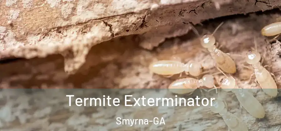 Termite Exterminator Smyrna-GA
