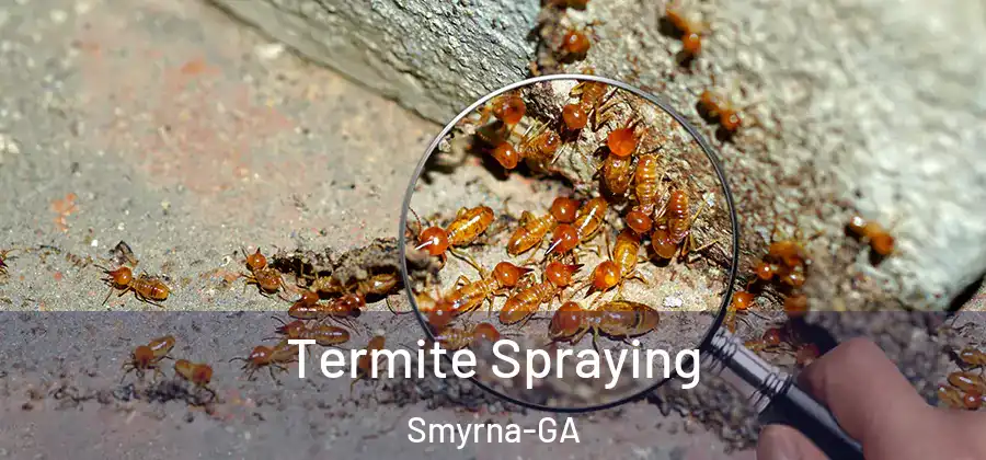 Termite Spraying Smyrna-GA