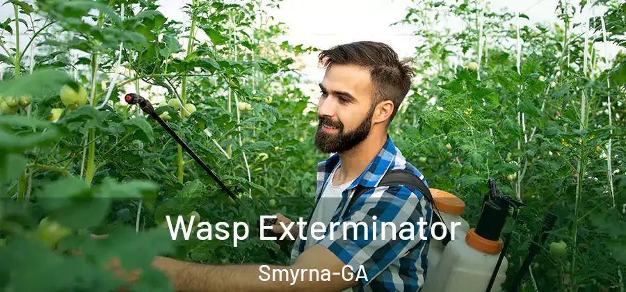 Wasp Exterminator Smyrna-GA