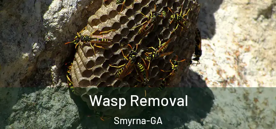 Wasp Removal Smyrna-GA