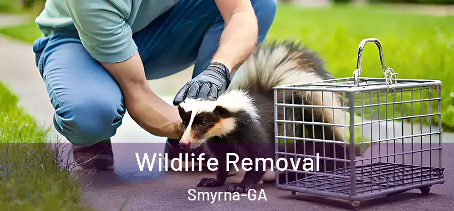 Wildlife Removal Smyrna-GA