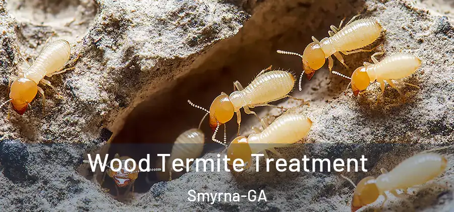 Wood Termite Treatment Smyrna-GA