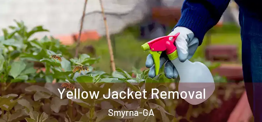 Yellow Jacket Removal Smyrna-GA
